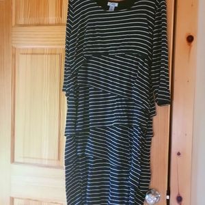 Catherines Curvy Dress 2X